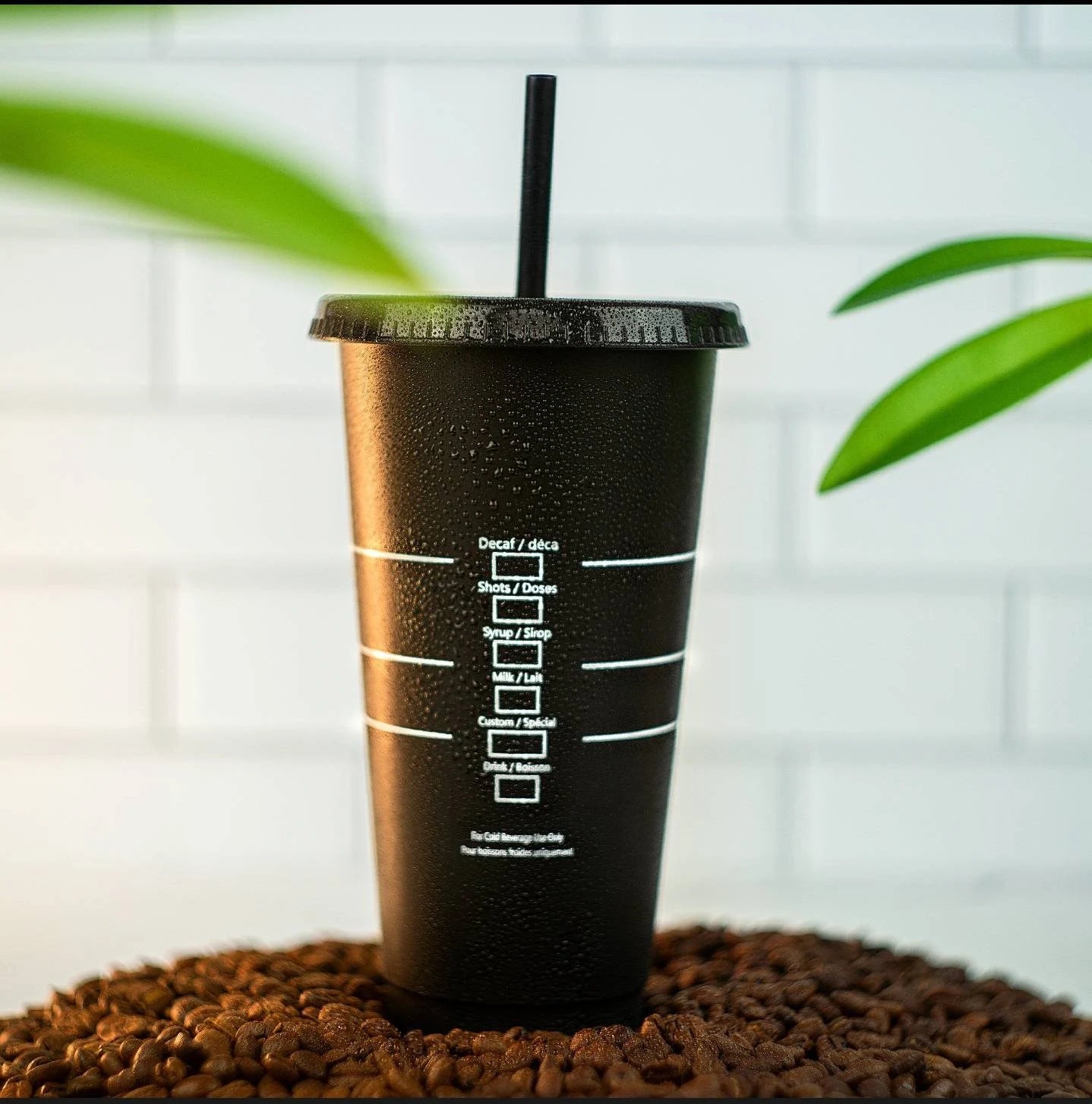 Billy Bronco Brew Cup | CPP | Cal Poly Pomona - FlippedDimension