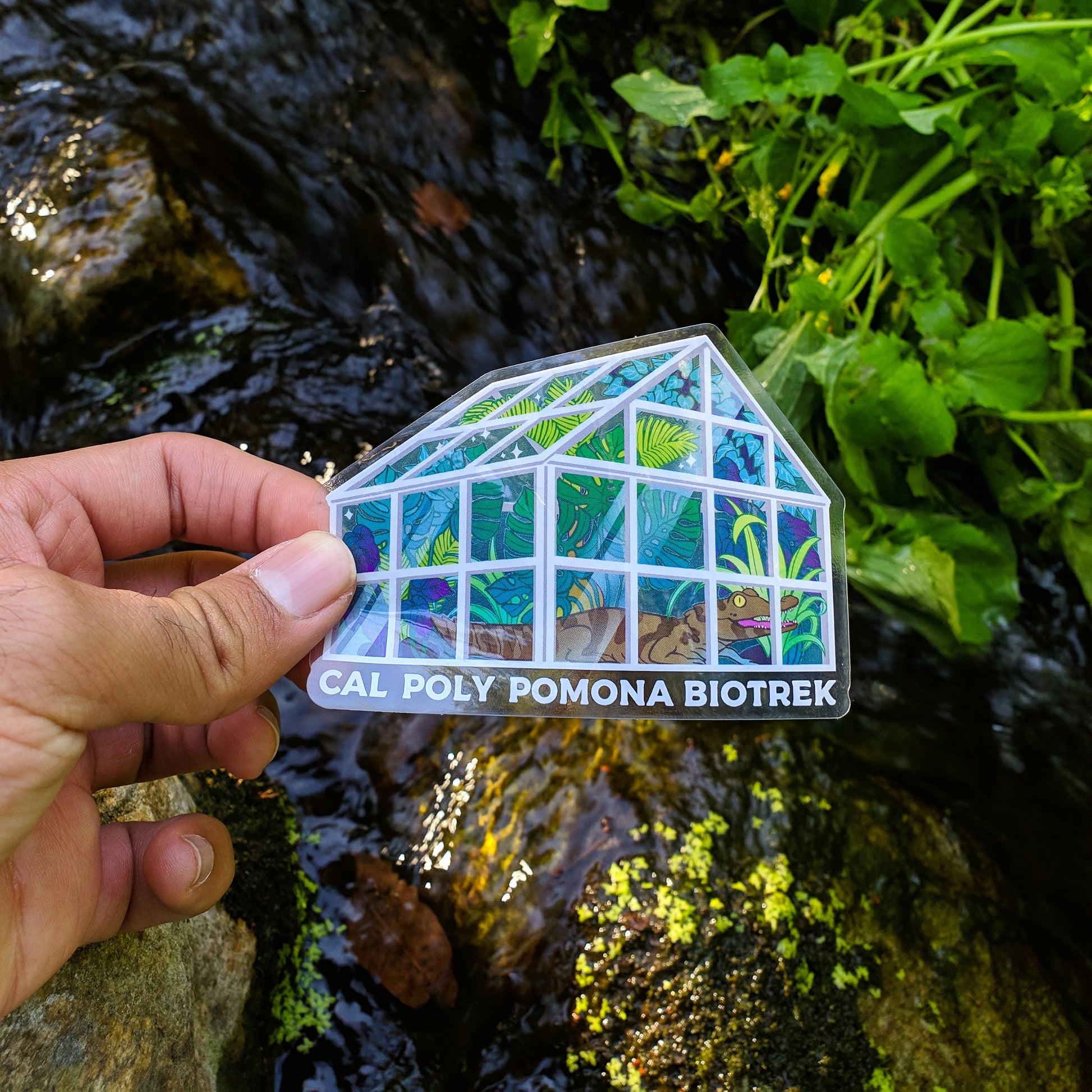 BioTrek Greenhouse Sticker | Transparent - FlippedDimension